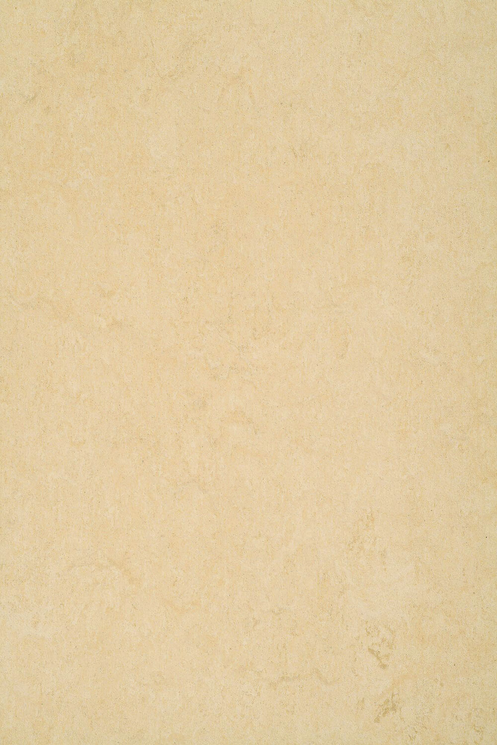 0098 DESERT BEIGE.jpg