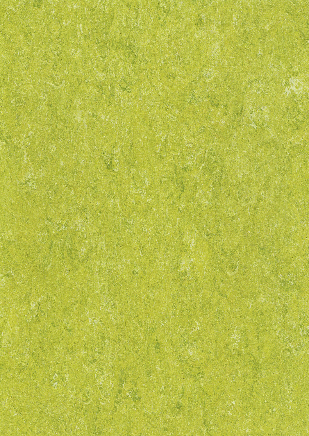 0132 LIME GREEN.jpg