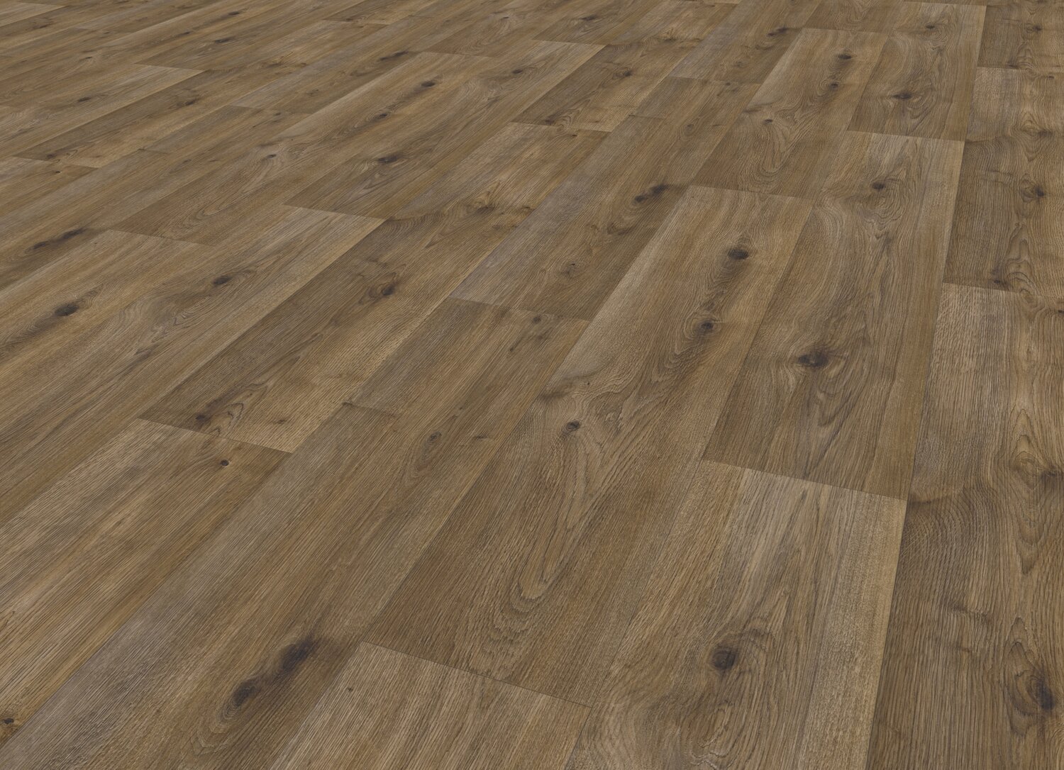 sherwood brown pers.jpg
